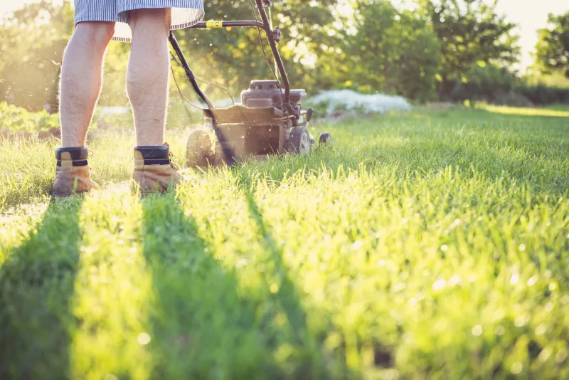 Your Lawn Is Struggling—And You're Probably the Reason Why