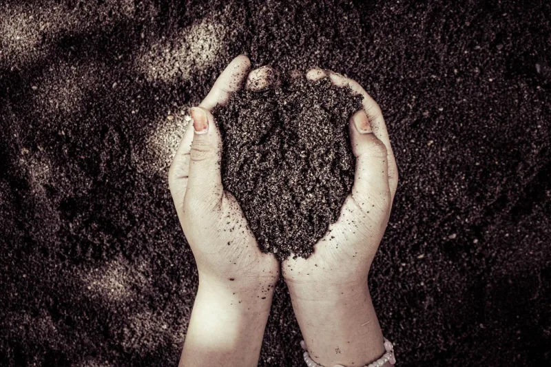 Dead Soil Is Killing Your Yard—Here's How to Bring It Back to Life