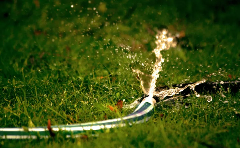 Standing Water Is Slowly Wrecking Your Yard—Here's What to Do About It